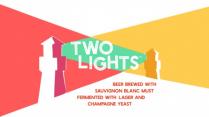 Allagash - Two Lights (4 pack 16oz cans) (4 pack 16oz cans)