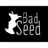 Bad Seed - Dry Cider (4 pack 12oz cans) (4 pack 12oz cans)